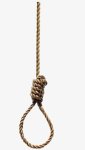 rope in a noose for hanging